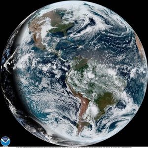 Meet your Posher, Audrey